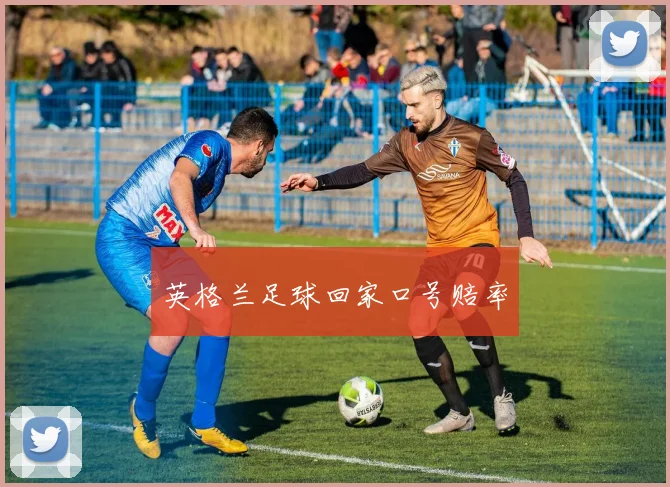 英格兰足球回家口号赔率