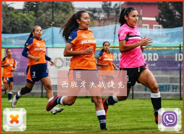 西班牙决战捷克