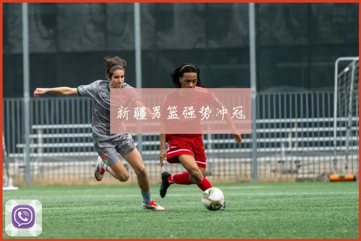 新疆男篮强势冲冠