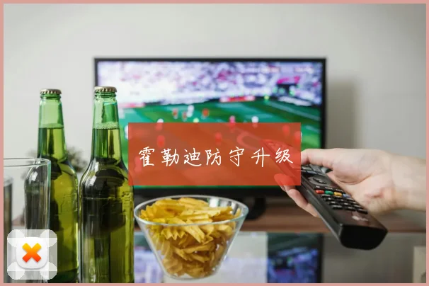 霍勒迪防守升级