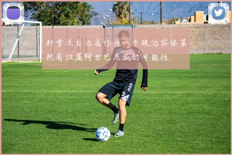 科索沃自治省作为一个政治实体虽然有归属阿尔巴尼亚的可能性