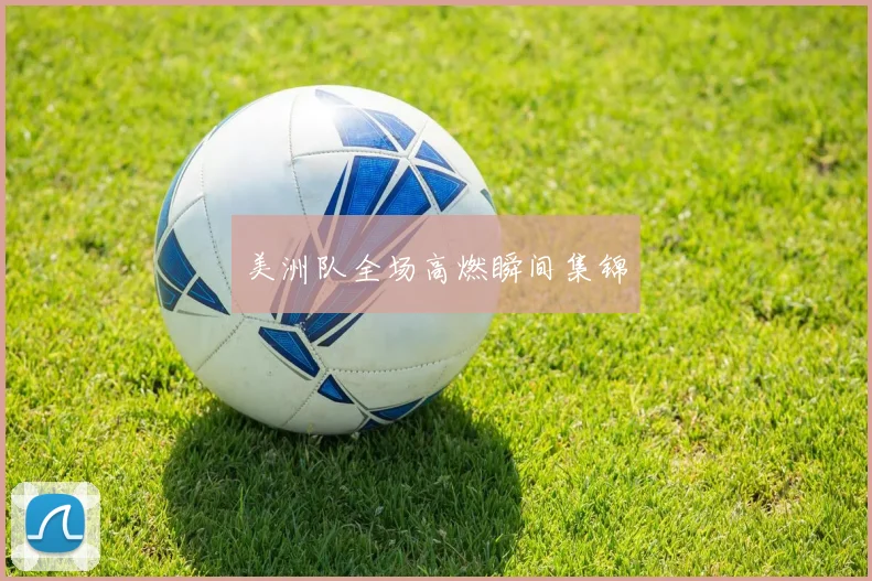 美洲队全场高燃瞬间集锦
