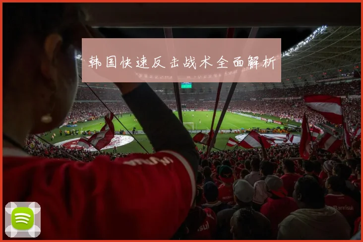 韩国快速反击战术全面解析