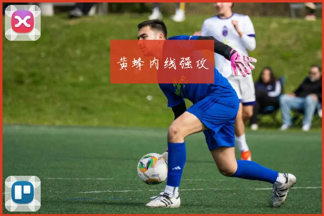 黄蜂内线强攻