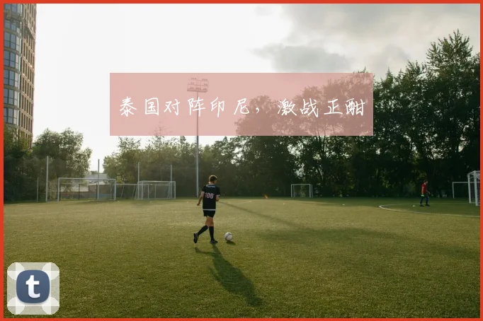 泰国对阵印尼，激战正酣