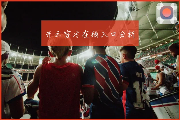 开云官方在线入口分析