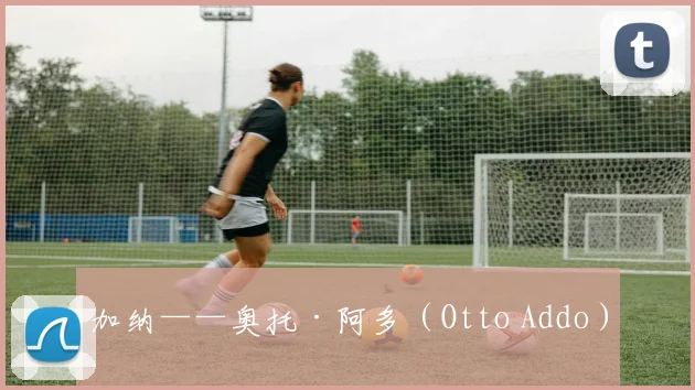 加纳——奥托·阿多（Otto Addo）