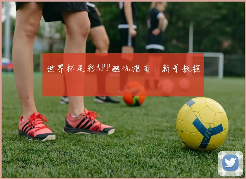 世界杯足彩APP避坑指南｜新手教程