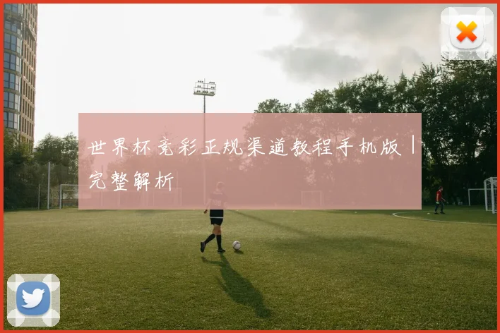 世界杯竞彩正规渠道教程手机版｜完整解析