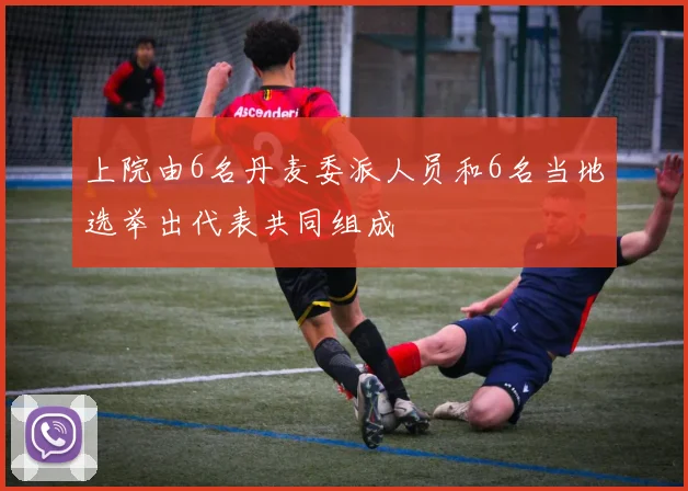 上院由6名丹麦委派人员和6名当地选举出代表共同组成