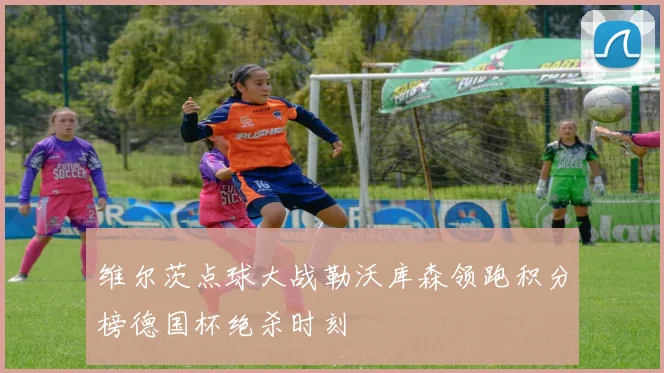 维尔茨点球大战勒沃库森领跑积分榜德国杯绝杀时刻