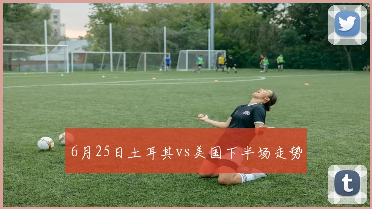 6月25日土耳其vs美国下半场走势