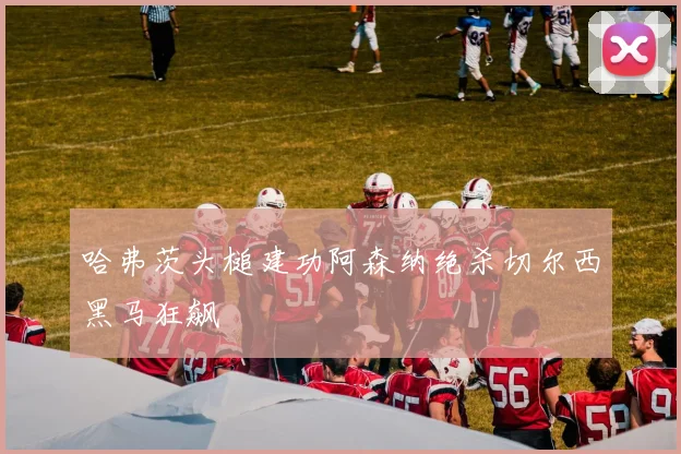 哈弗茨头槌建功阿森纳绝杀切尔西黑马狂飙