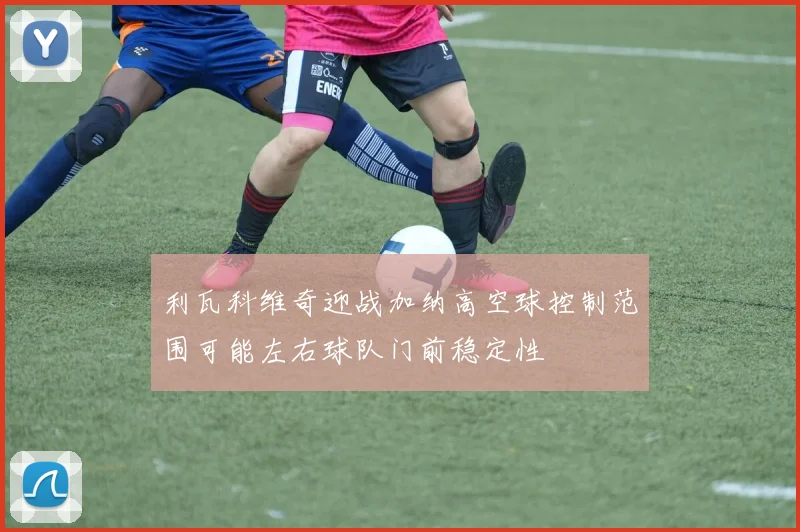 利瓦科维奇迎战加纳高空球控制范围可能左右球队门前稳定性
